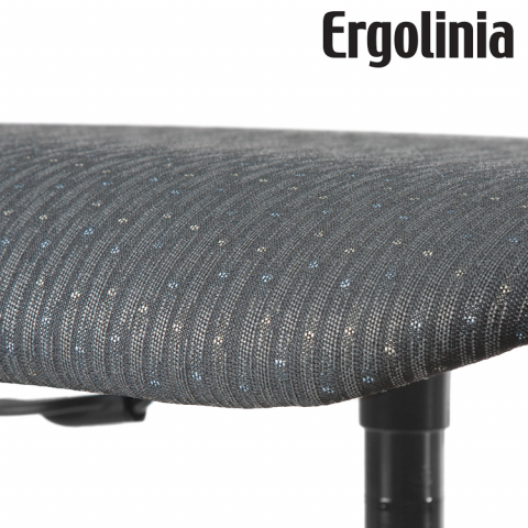 ERGOLINIA EVO2 PROFI