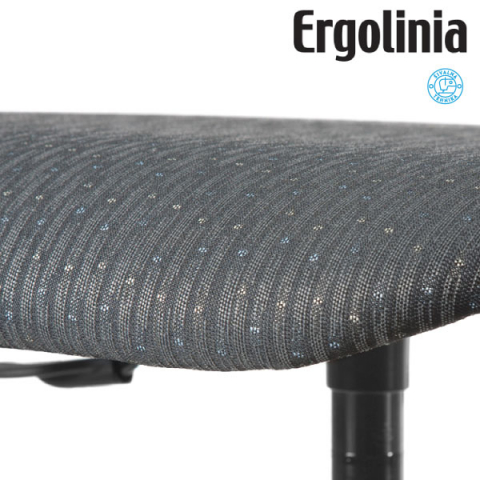 ERGOLINIA EVO2