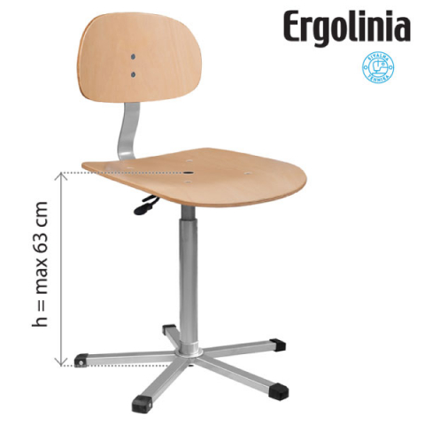 ERGOLINIA EVO4