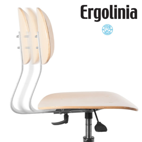 ERGOLINIA EVO4